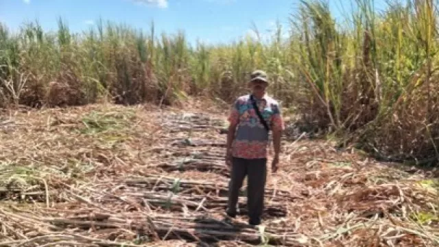  Produksi Naik, Serapan Pasar Masih Lemah - GenPI.co