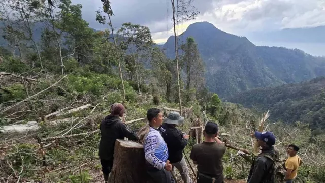 Rusak Hutan Lindung di Bur Kelieten, Kades di Aceh Tengah Terancam Dipenjara 10 Tahun - GenPI.co
