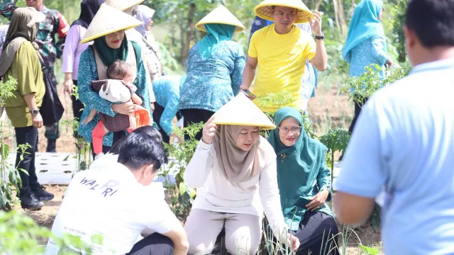Keren Banget! TP PKK Sumsel Berdayakan Ibu-Ibu Talang Jambe Lewat Gerakan Mandiri Pangan - GenPI.co