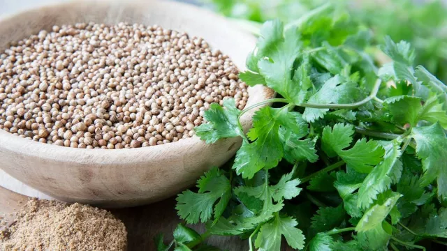 3 Risiko Konsumsi Daun Ketumbar, Jangan Berlebihan - GenPI.co