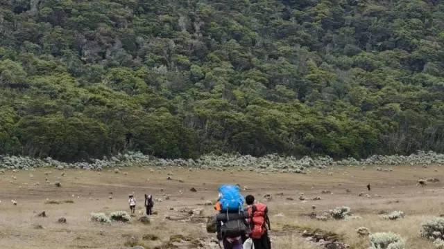 Pendakian Gunung Gede Pangrango Ditutup Mulai 13 Oktober, Aksi Bersih dan Evaluasi - GenPI.co