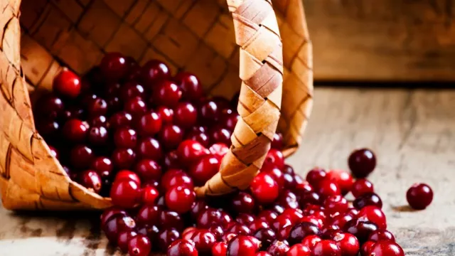 3 Manfaat Jus Cranberry untuk Kesehatan, Bukan Sekadar Segar - GenPI.co