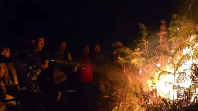 Kebakaran di Gunung Rinjani Hanguskan Semak Perdu dan Pohon Cemara Seluas 10 Ha - GenPI.co Kebakaran di Gunung Rinjani Hanguskan Semak Perdu dan Pohon Cemara Seluas 10 Ha - GenPI.co