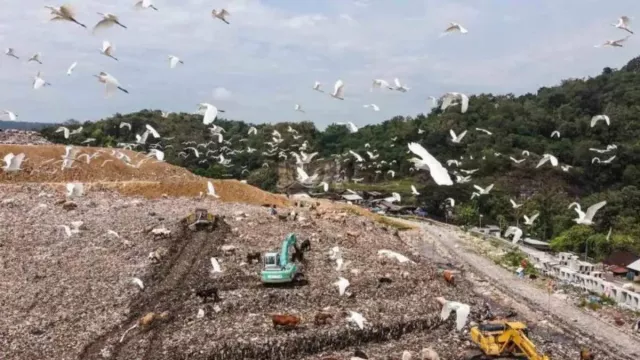 260 Daerah Darurat Sampah, Pemerintah Siapkan Teknologi Pengelolaan Ramah Lingkungan - GenPI.co