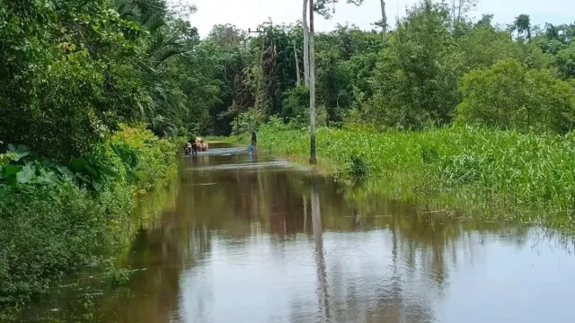 4 Kecamatan di Aceh Barat Terendam Banjir, 1.003 Warga Terdampak - GenPI.co 4 Kecamatan di Aceh Barat Terendam Banjir, 1.003 Warga Terdampak - GenPI.co