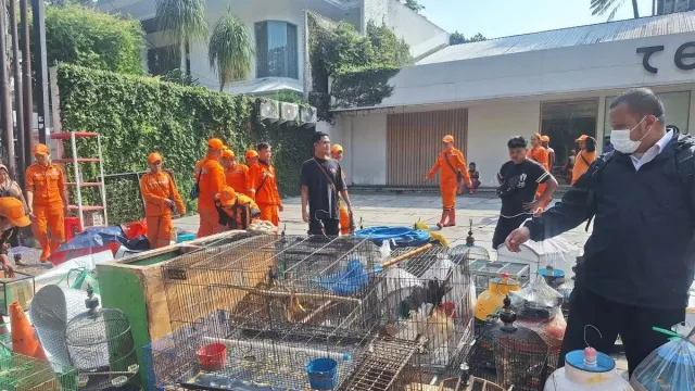 158 Kios di Barito Jakarta Selatan Ditertibkan, Disulap Jadi Taman Bendera Pusaka - GenPI.co 158 Kios di Barito Jakarta Selatan Ditertibkan, Disulap Jadi Taman Bendera Pusaka - GenPI.co