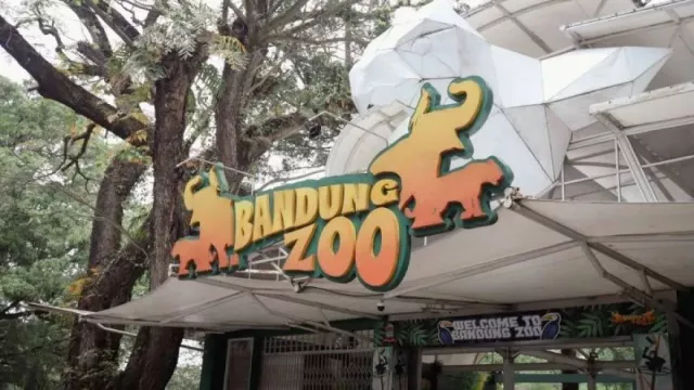 Izin Pengelola Belum Beres, Warga Dilarang Kunjungi Bandung Zoo - GenPI.co Izin Pengelola Belum Beres, Warga Dilarang Kunjungi Bandung Zoo - GenPI.co