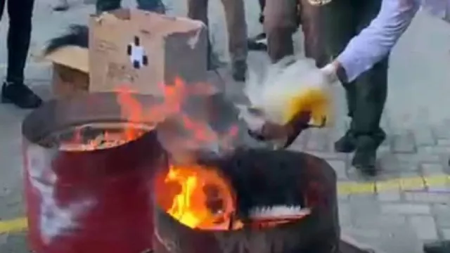 Anggota DPR RI Sebut Pemusnahan Mahkota Cenderawasih Langgar Aturan - GenPI.co Anggota DPR RI Sebut Pemusnahan Mahkota Cenderawasih Langgar Aturan - GenPI.co