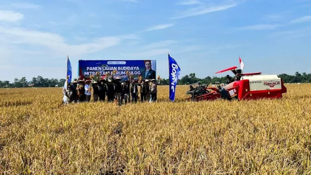  Pasokan Aman dan Harga Stabil untuk Nataru - GenPI.co