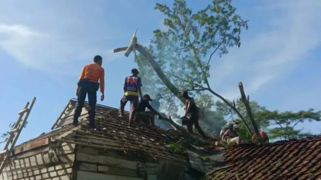 Angin Kencang Terjang 6 Kabupaten di Lampung, 144 Rumah Rusak - GenPI.co