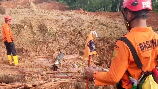 9 Anjing Pelacak dan 9 Alat Berat Dikerahkan Cari 20 Korban Longsor di Cilacap - GenPI.co