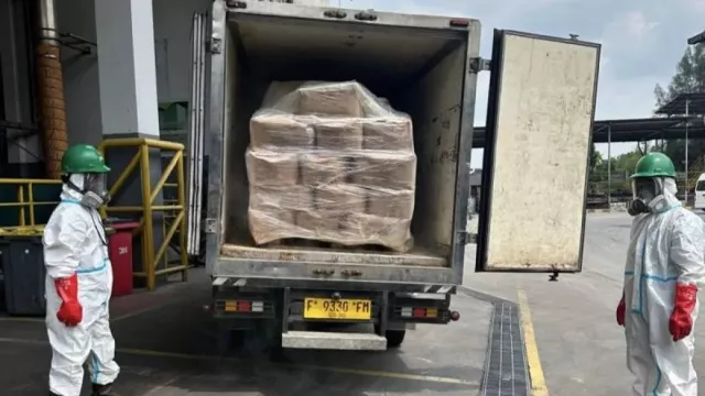 5,7 Ton Udang Dimusnahkan karena Tercemar Radioaktif Cesium-137 - GenPI.co