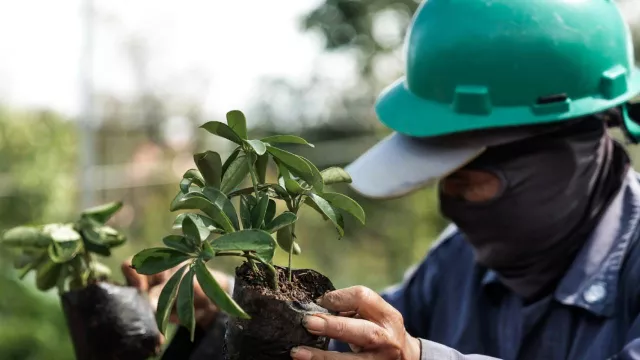  Bukti Investasi Hijau Mengubah Konflik Agraria Jadi Ekowisata - GenPI.co