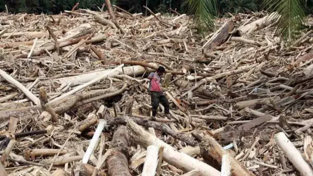 Ahmad Muzani Duga Pembalakan Liar Memperparah Bencana Sumatera - GenPI.co