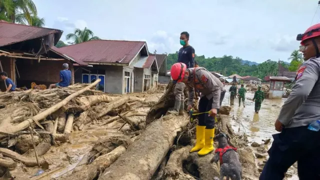 Korban Bencana Agam Bertambah Jadi 120 Orang, 74 Masih Hilang - GenPI.co