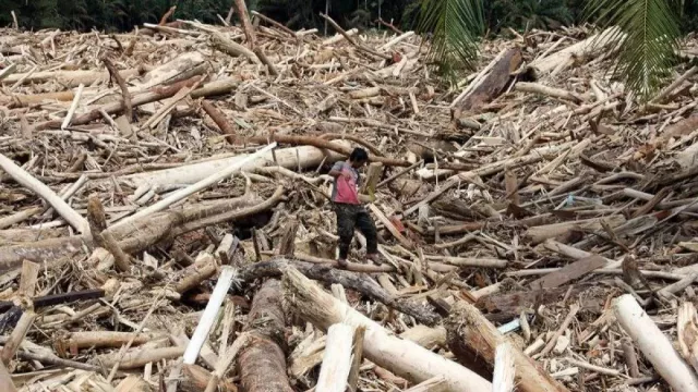 KLH Mulai Penyelidikan Banjir Sumatra, Citra Satelit Jadi Bukti Awal - GenPI.co