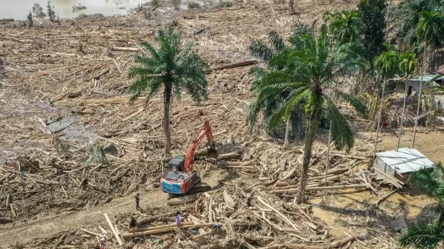 Bareskrim Kirim Tim Khusus Selidiki Penebangan Liar Sungai Tamiang - GenPI.co