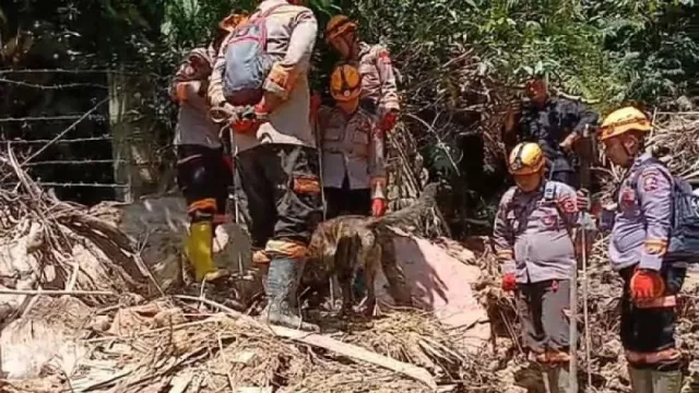 Material Tebal Hambat Pencarian Korban Bencana, K-9 Jadi Andalan di Sibolga - GenPI.co