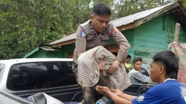 Korban Meninggal Bencana Sumut Melonjak 347 Jiwa, Tapanuli Tengah Paling Terdampak - GenPI.co