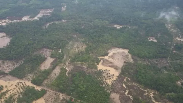 KLH Ungkap Kerusakan Hulu DAS Aceh Melebar, Hutan Diserobot Sawit & Tambang Ilegal - GenPI.co
