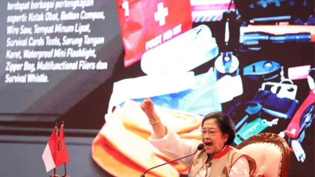 Ketum PDIP Megawati Desak Pemerintah Petakan Daerah Rawan Bencana di Sumatra - GenPI.co