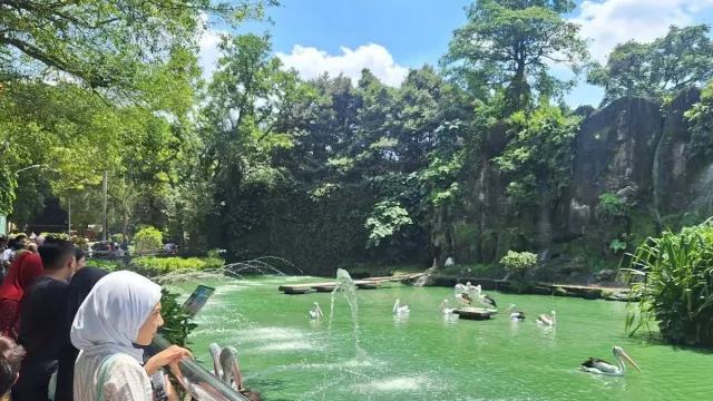 Libur Natal dan Tahun Baru, Ragunan Buka Pukul 06.00 WIB - GenPI.co