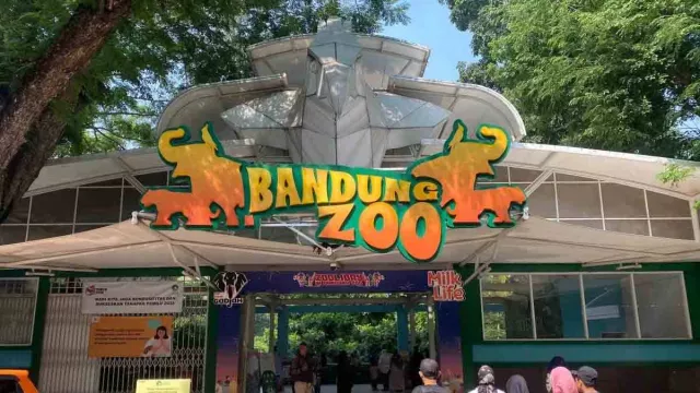 Stok Pakan Menipis, Bandung Zoo Ogah Dibantu Kemenhut - GenPI.co