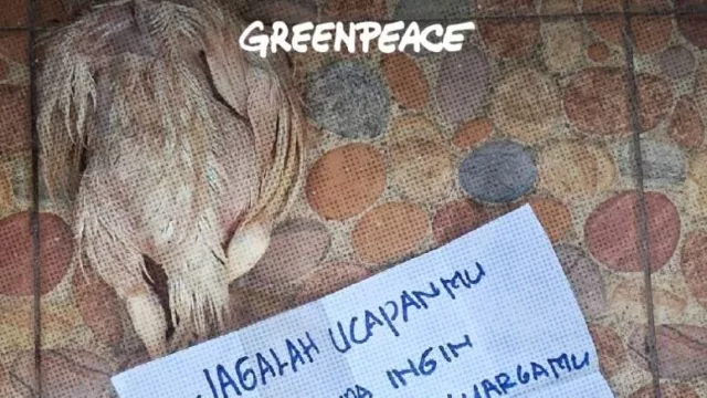 Rumah Aktivis Greenpeace Iqbal Damanik Diteror Bangkai Ayam - GenPI.co