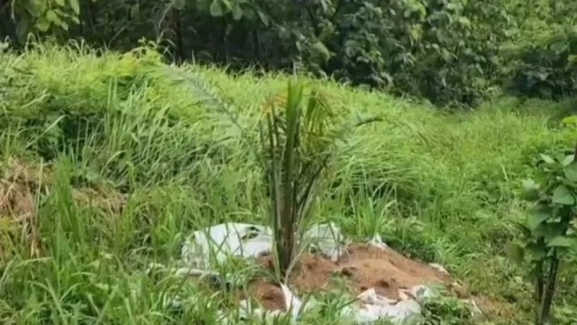  Bukan Komoditas Unggulan - GenPI.co