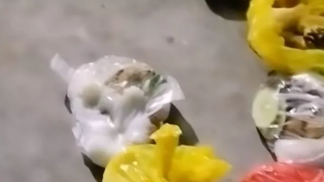 SPPG Pandeglang Klarifikasi MBG Dibungkus Plastik, Tindakan Spontan Kader Posyandu - GenPI.co