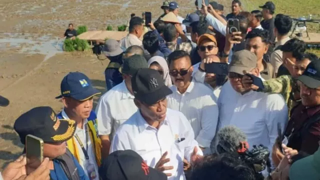 Aceh Utara Ajukan Revitalisasi 11.929 Hektare Sawah ke Amran Sulaiman - GenPI.co