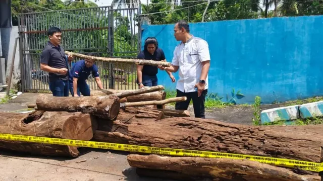 Tebang Kayu di Kawasan Lindung Gunung Ciremai, 5 Orang Jadi Tersangka - GenPI.co