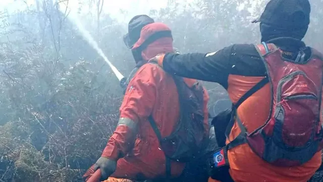 Kebakaran Lahan Meluas, Kabut Asap Mengancam Warga Aceh Barat - GenPI.co