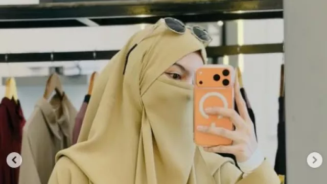 Insanul Fahmi Minta Maaf, Keluarga Wardatina Mawa Diam Saja - GenPI.co