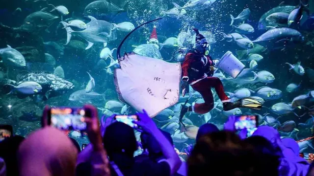 3 Wisata Akuarium untuk Liburan Keluarga, Dunia Air Tawar Bisa Jadi Pilihan - GenPI.co