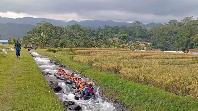 Desa Wisata Panembangan di Banyumas, Ada Wahana Tubing Mini! - GenPI.co