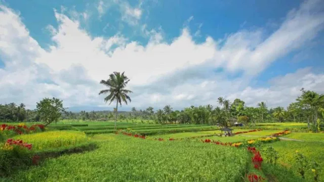 Ijen Golden Route di Banyuwangi, Tawarkan Pesona Alam dan Kuliner Lokal - GenPI.co