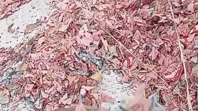 Pemilik TPS Liar di Bekasi Ngaku Tak Tahu Material yang Dibuang Cacahan Uang Rupiah - GenPI.co