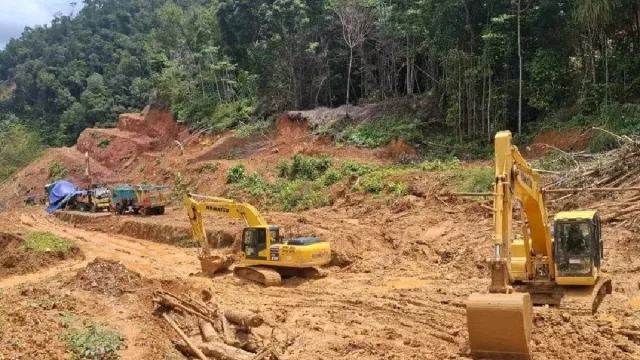 Longsor Trans Papua, 103 Kendaraan Terjebak di Ruas Jayapura–Wamena - GenPI.co