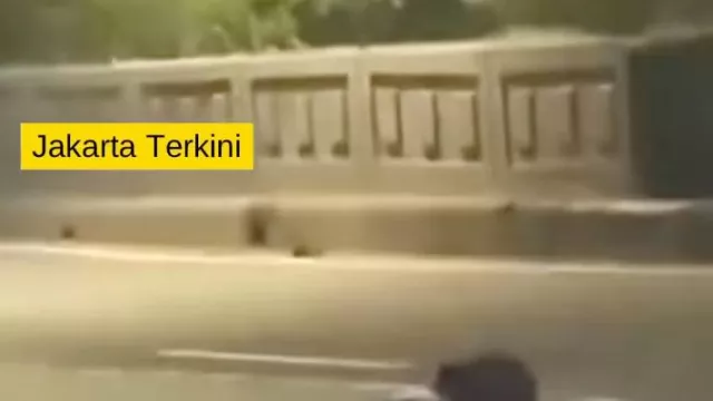 Viral Pria Bertopeng Curi Mata Kucing Marka Jalan di Cawang, Motoran Malam jadi Rawan - GenPI.co