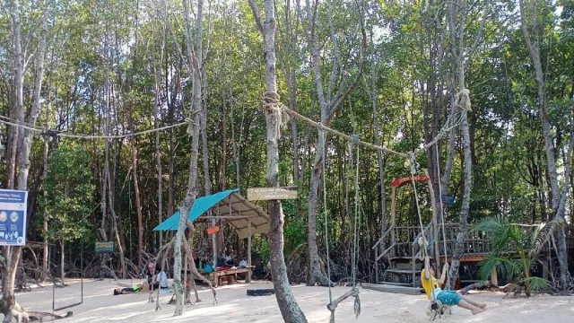 Pandang Tak Jemu, Ekowisata Hutan Mangrove di Batam - GenPI.co
