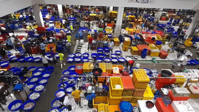 Pasar Modern Muara Baru, Surganya Olahan Ikan Laut - GenPI.co