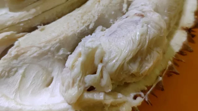 Manfaat Biji Durian Ternyata Sangat Dahsyat, Bikin Jantung Sehat - GenPI.co