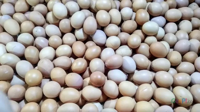 Harga Telur Ayam Naik Jelang Ramadan, Jangan Kaget Bacanya Ya! - GenPI.co