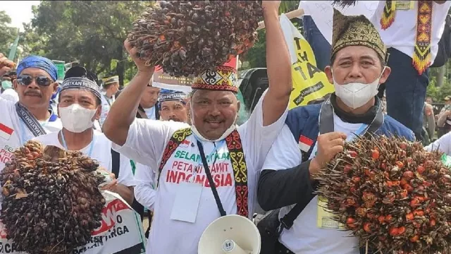 Petani Sawit Kecewa Tak Bisa Tatap Muka dengan Airlangga Hartarto - GenPI.co