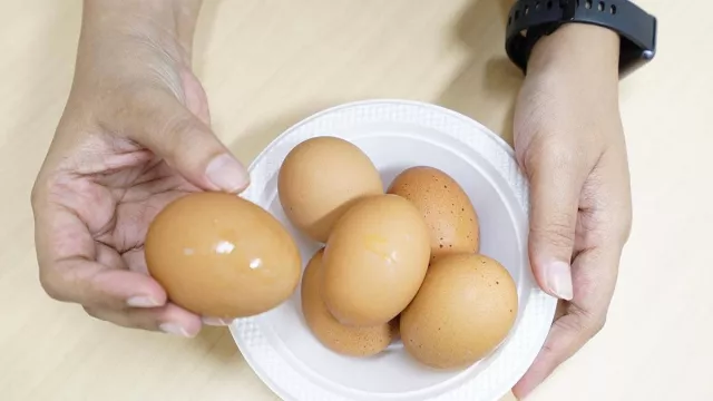 Dokter Spesialis Gizi Bagikan Tips Memilih Telur yang Masih Bagus - GenPI.co