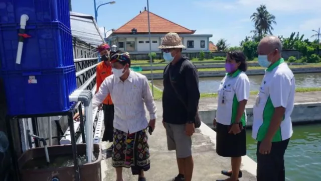 Canggih! Pemkab Klungkung Bali Ciptakan Pertanian Aquaponik - GenPI.co BALI