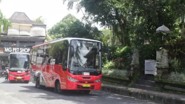 Efek Gmaps, Bus Penuh Turis Domestik Tersesat di Desa Pedawa Bali - GenPI.co BALI