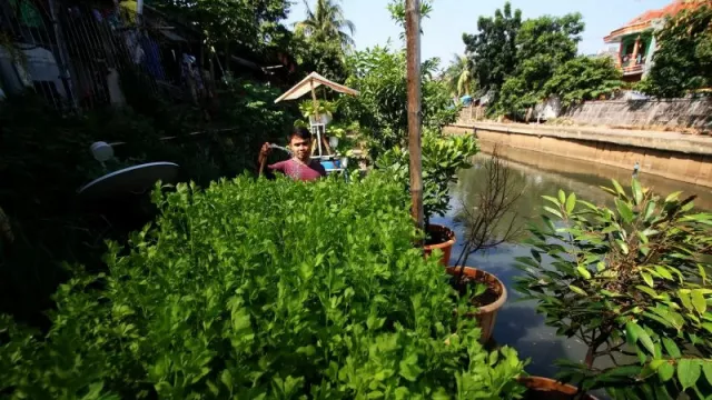 Ingin Cocok Tanam di Rumah? Ini 4 Tips Mujarabnya - GenPI.co BALI Ingin Cocok Tanam di Rumah? Ini 4 Tips Mujarabnya - GenPI.co BALI