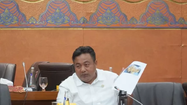 Banyak Kebangkrutan di Bali, Anggota DPR Parta Sentil Himbara - GenPI.co BALI